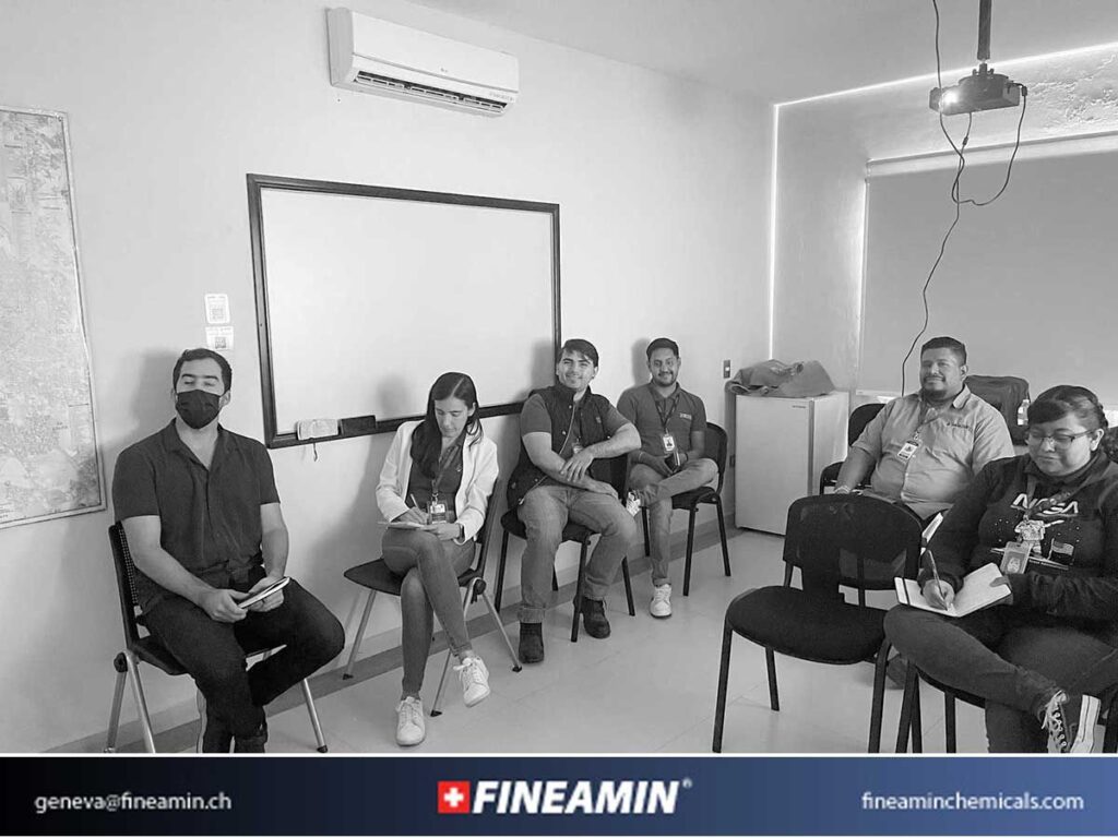Fineamin training